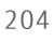 204